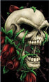 Death Skull DIY Diamond Painting